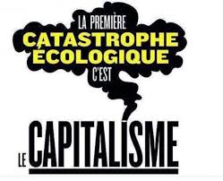 catastrophe écologique