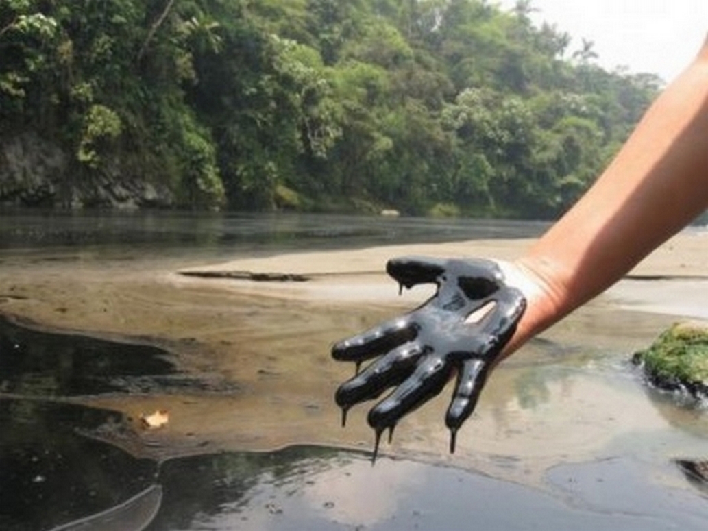 Equateur, la forêt polluée