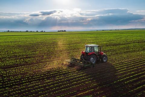 tracteur dans la plaine