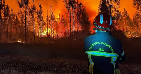 feu de forêt